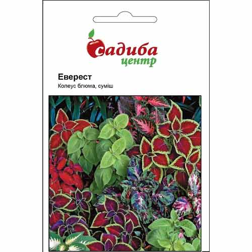 Колеус блюме Эверест, смесь окрасок Садиба центр рисунок 1 артикул 77020