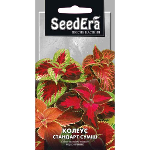 Колеус Стандарт, суміш забарвлень Seedera артикул фото 1 Колеус Стандарт, суміш забарвлень Seedera зображення 1 артикул 72270