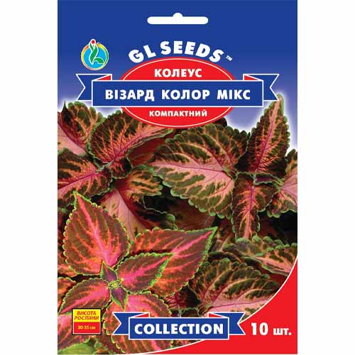 Колеус Визард Колор микс GL Seeds рисунок 1 артикул 85809
