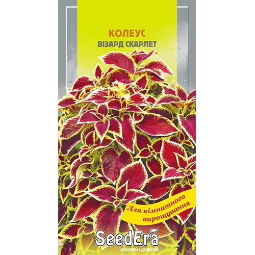 Колеус Візард Скарлет Seedera зображення 1 артикул 94962