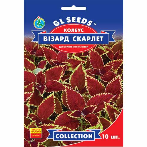 Колеус Визард Скарлет GL Seeds артикул фото 1 Колеус Визард Скарлет GL Seeds рисунок 1 артикул 85810