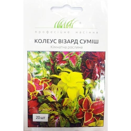 Колеус Визард, смесь окрасок Профессиональные семена рисунок 1 артикул 66213