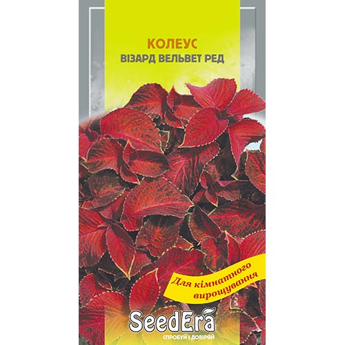 Колеус Візард Вельвед Ред Seedera зображення 1 артикул 94963