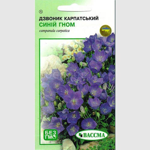 Дзвоник карпатський Синій гном Seedera зображення 1 артикул 72152