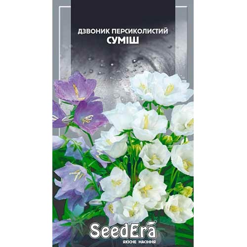 Дзвоник карпатський, суміш забарвлень Seedera зображення 1 артикул 66266