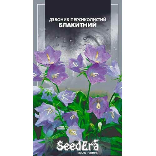 Дзвоник персиколистий блакитний Seedera зображення 1 артикул 77001