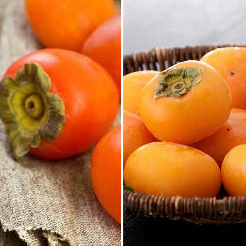 Комплект хурми з 2 сортів зображення 1 артикул 5670