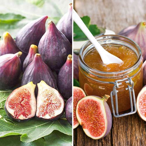 Комплект інжиру з 2 сортів зображення 1 артикул 4841