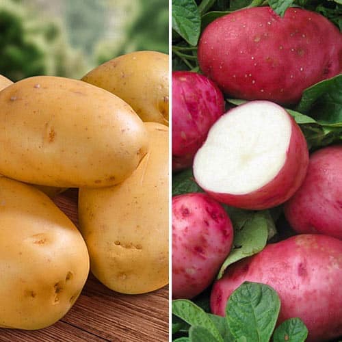 Комплект картоплі Для смаження з 2 сортів зображення 1 артикул 9635