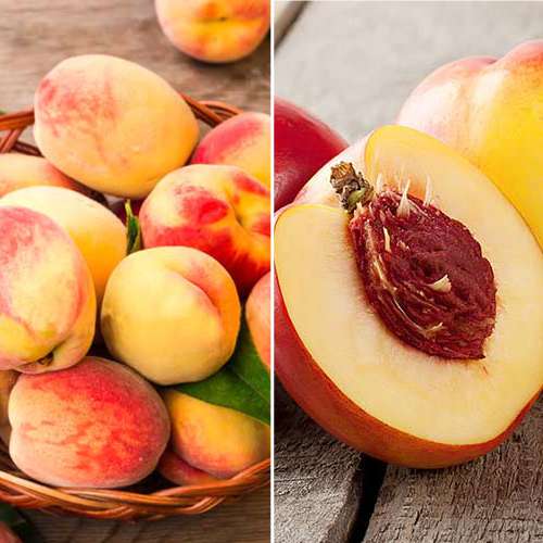 Комплект Мрія гурмана з 2 сортів зображення 1 артикул 4838