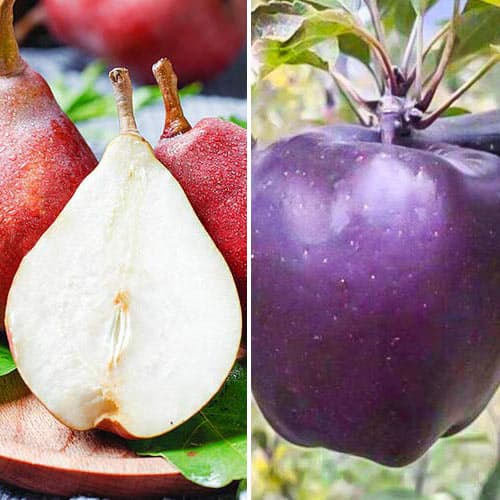 Комплект Солодка парочка з 2 сортів артикул фото 1 Комплект Солодка парочка з 2 сортів зображення 1 артикул 4836