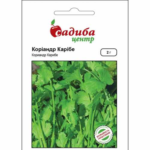 Кориандр Карибе Садыба центр рисунок 1 артикул 89359