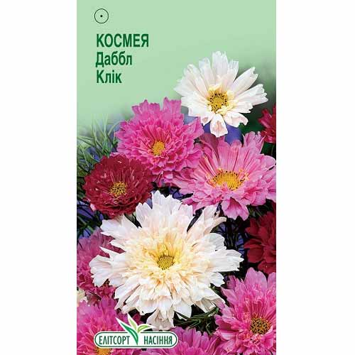 Космея Даббл Клік, суміш забарвлень Елітсорт зображення 1 артикул 85945