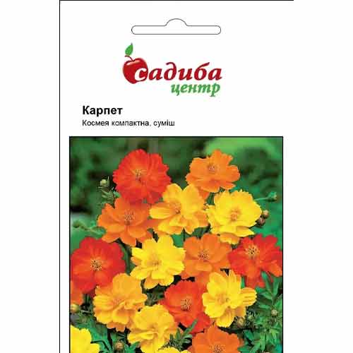 Космея компактна Карпет, суміш забарвлень Садиба центр зображення 1 артикул 87634