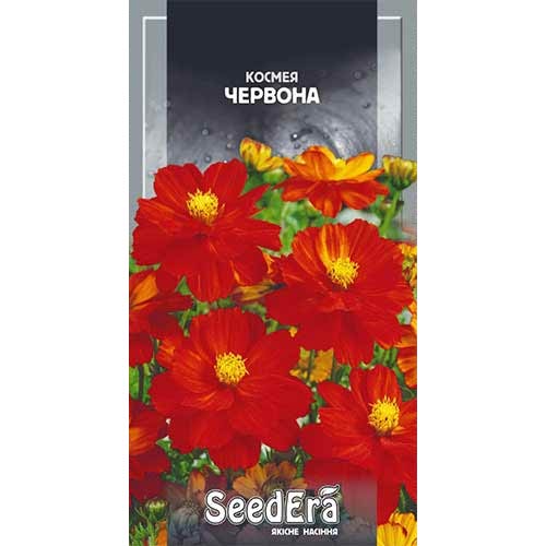 Космея червона Seedera зображення 1 артикул 89947