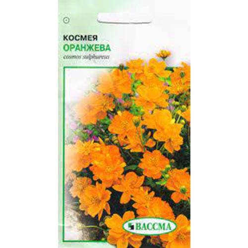 Космея оранжева Seedera зображення 1 артикул 89946