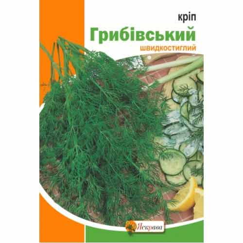 Укроп Грибовский Яскрава рисунок 1 артикул 99900