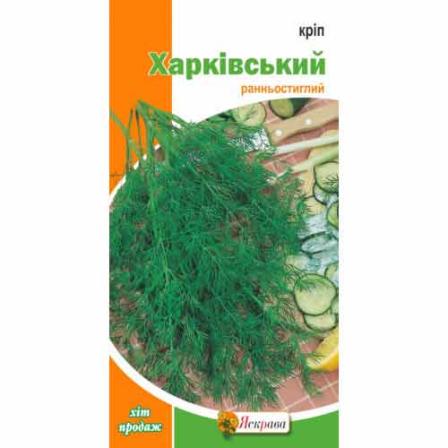 Укроп Харьковский Яскрава рисунок 1 артикул 99902