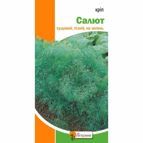 Кріп кущовий Салют Яскрава артикул фото 1 Кріп кущовий Салют Яскрава зображення 1 артикул 99899