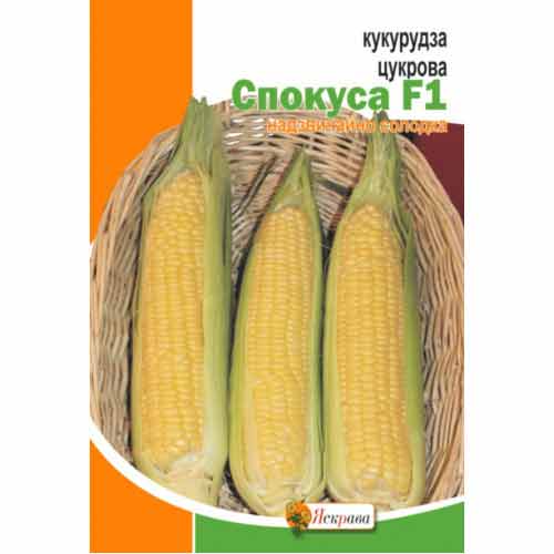 Кукурудза цукрова Спокуса F1 Яскрава зображення 1 артикул 99903