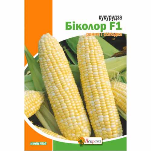 Кукурудза цукрова Біколор Яскрава зображення 1 артикул 99906