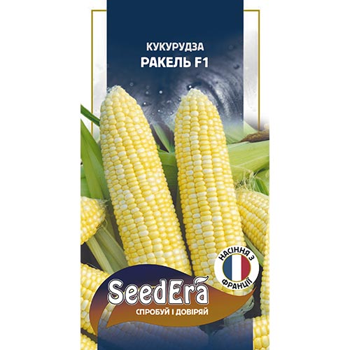 Кукуруза Ракель F1 Seedera рисунок 1 артикул 95070