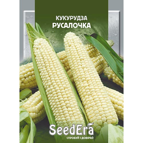 Кукуруза Русалочка Seedera рисунок 1 артикул 95059