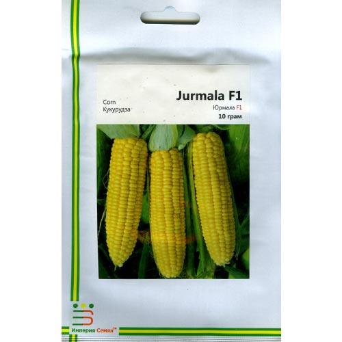 Кукурудза Юрмала F1 Імперія насіння зображення 1 артикул 95359