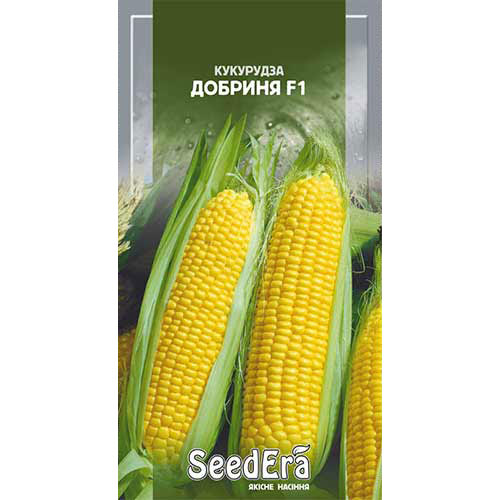 Кукуруза Добрыня F1 Seedera рисунок 1 артикул 66477