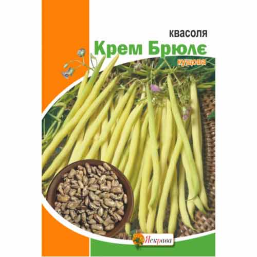 Квасоля Крем Брюлє Яскрава зображення 1 артикул 99880