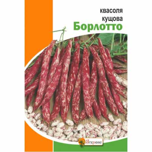 Квасоля кущова Борлотто Яскрава зображення 1 артикул 99881