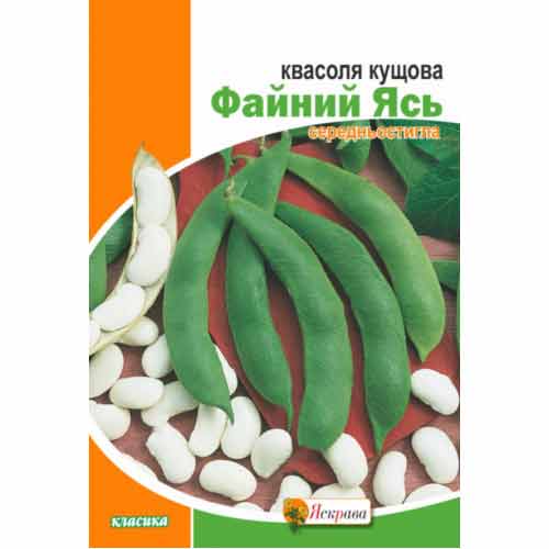 Квасоля кущова Файний Ясь Яскрава зображення 1 артикул 99888