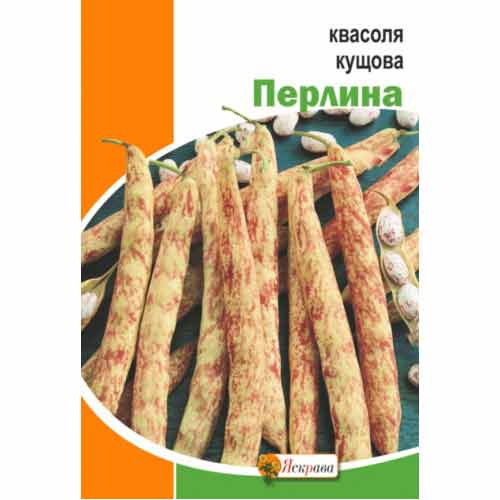 Квасоля кущова Перлина Яскрава зображення 1 артикул 99884