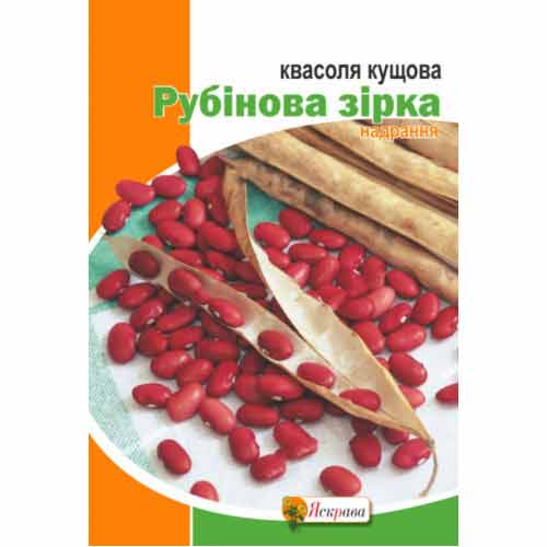 Квасоля кущова Рубінова Зірка Яскрава артикул фото 1 Квасоля кущова Рубінова Зірка Яскрава зображення 1 артикул 99885