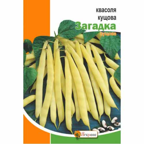 Квасоля кущова Загадка Яскрава зображення 1 артикул 99882