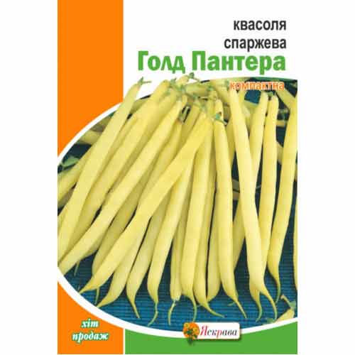 Фасоль спаржевая Голд Пантера Яскрава рисунок 1 артикул 99890