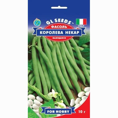 Квасоля спаржева Королева Некар GL Seeds зображення 1 артикул 99620