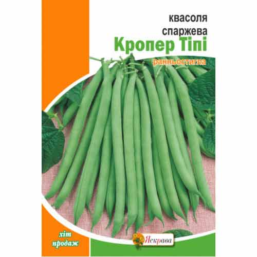 Квасоля спаржева Кропер Тіпі Яскрава зображення 1 артикул 99892