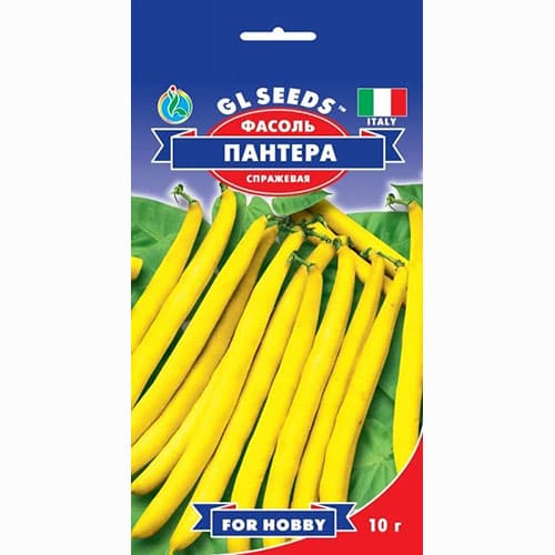Квасоля спаржева Пантера GL Seeds зображення 1 артикул 99623