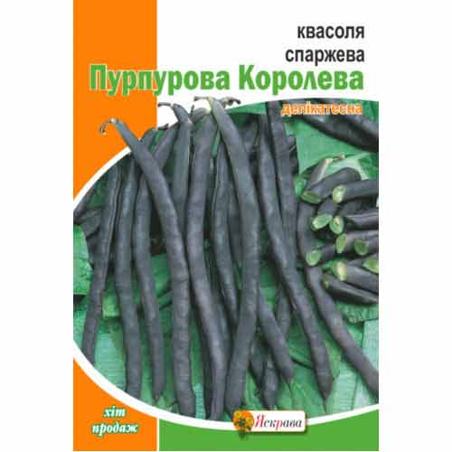 Фасоль спаржевая Пурпурная Королева Яскрава рисунок 1 артикул 99893