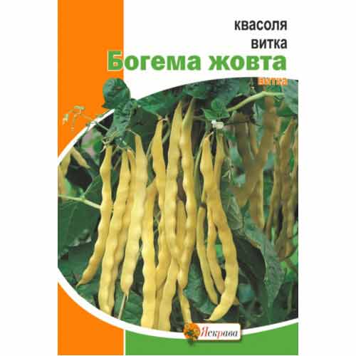 Квасоля витка Богема жовта Яскрава зображення 1 артикул 99877