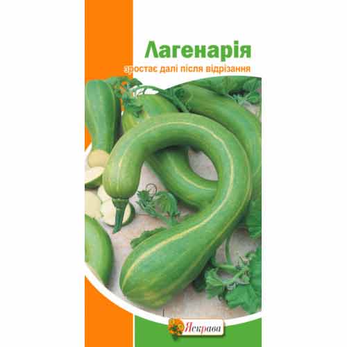 Лагенарія Яскрава зображення 1 артикул 77233