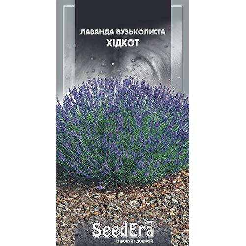 Лаванда Хідкот Seedera зображення 1 артикул 94967