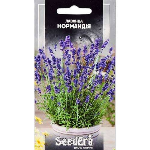 Лаванда Нормандія Seedera зображення 1 артикул 66275