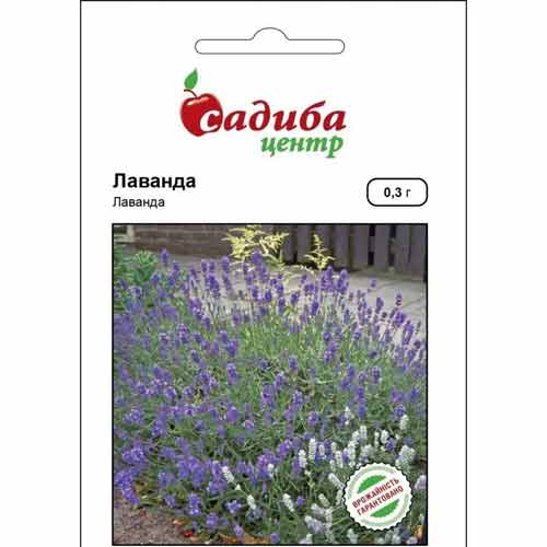 Лаванда Садыба центр рисунок 1 артикул 89386