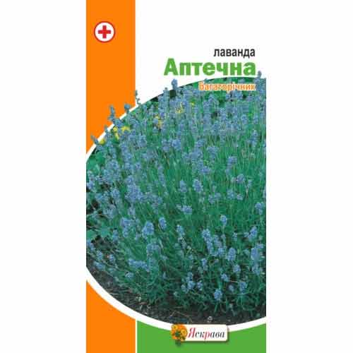 Лаванда Яскрава, семена рисунок 1 артикул 77339