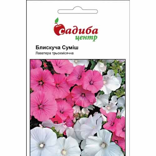 Лаватера Блискуча, суміш забарвлень Садиба центр артикул фото 1 Лаватера Блискуча, суміш забарвлень Садиба центр зображення 1 артикул 89387