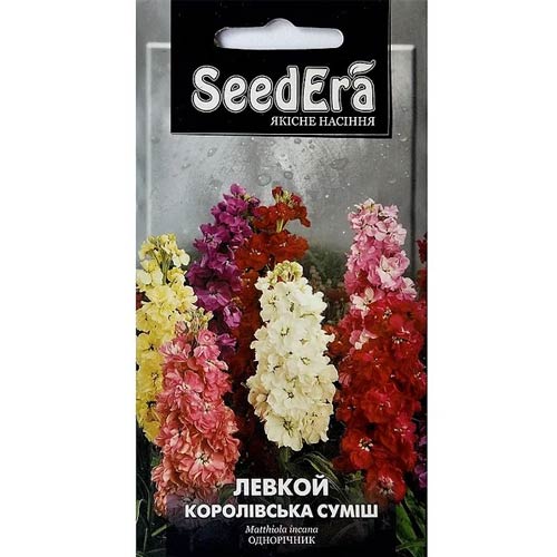 Левкой Королевский, смесь окрасок Seedera рисунок 1 артикул 72727