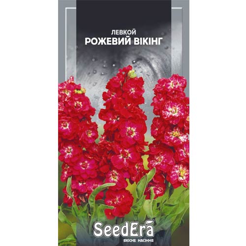 Левкой Розовый Викинг Seedera рисунок 1 артикул 77028