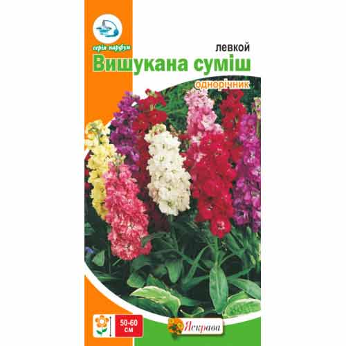 Левкой, суміш забарвлень Яскрава артикул фото 1 Левкой, суміш забарвлень Яскрава зображення 1 артикул 77029